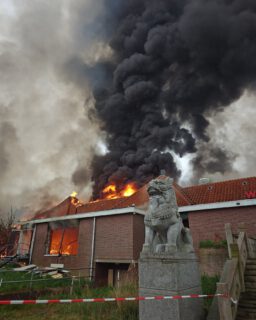 Grote brand Wereldkeuken Westzaan
